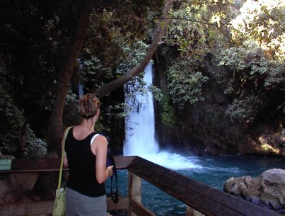 Banias falls